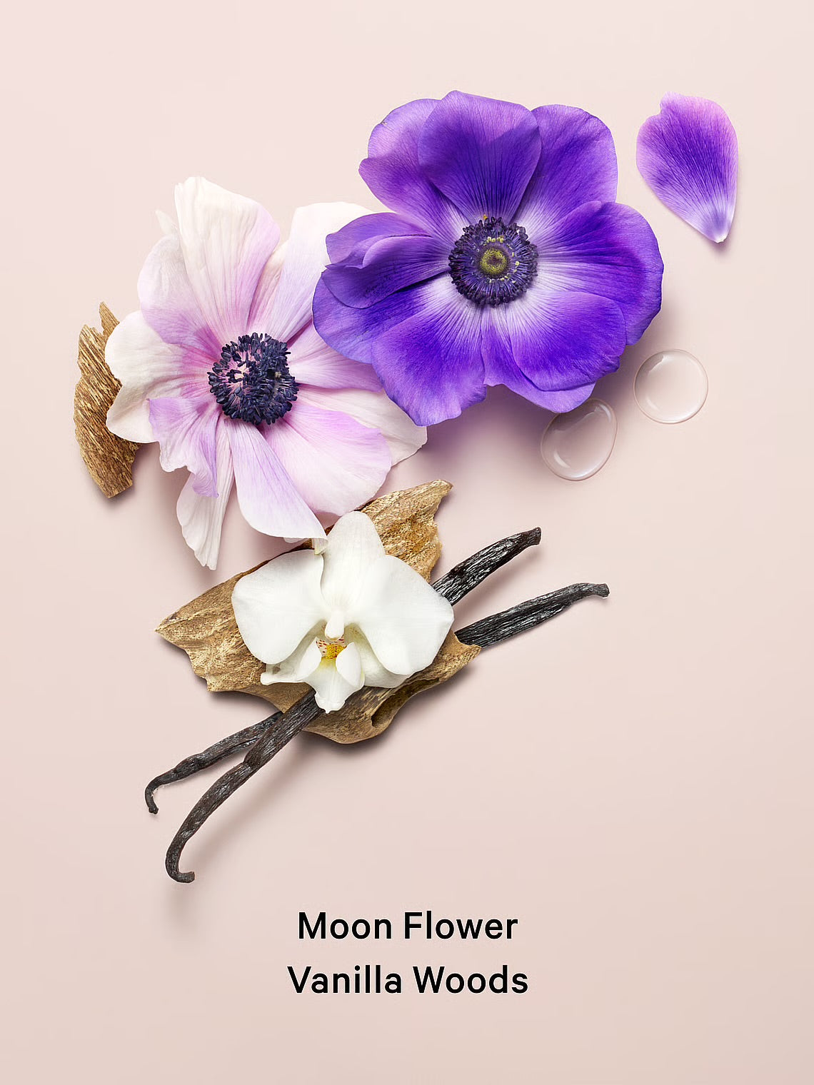 Loción midnight bloom